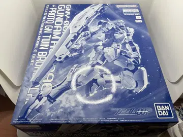 MG 1/100 건담 아스트레아 + 프로토 GN 트윈 브로드 브레이드