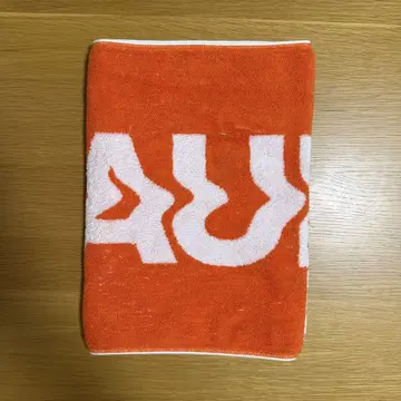 Vaundy 타월