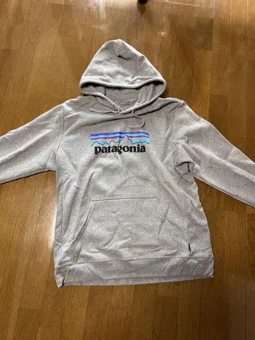 파타고니아 Patagonia P-6 로고 업라이저 후디