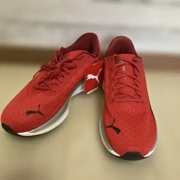Puma 러닝화 US 9 (27 cm) 레드