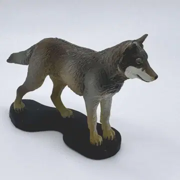 [배송비 포함] 일본늑대 카이요도 피규어 주간 일본의 천연기념물