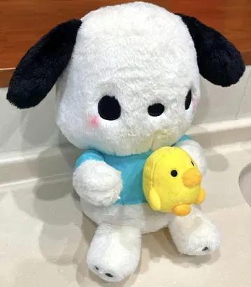 산리오 sanrio 포차코 봉제 인형