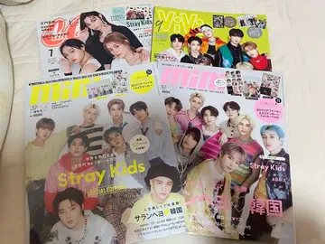 mini cancan vivi Stray Kids 잡지 묶음 판매 부록