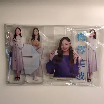노기자카46 우메자와 미나미 아크릴 스탠드 4개 세트