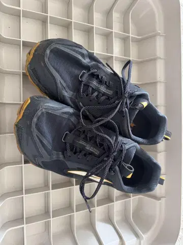 알트라 론피크 4.5 [레어]