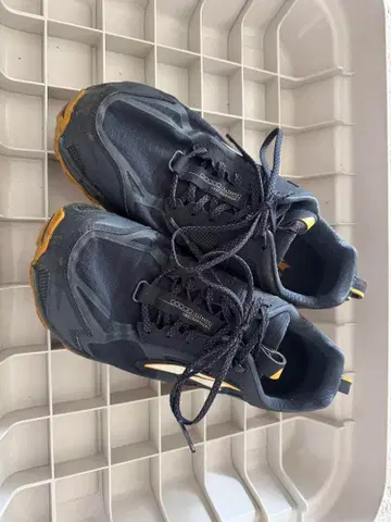 알트라 론피크 4.5 [레어]