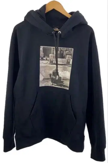 THE NORTH FACE alter 후드티 M 사이즈