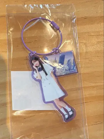 아크릴 참 세토구치 신게츠