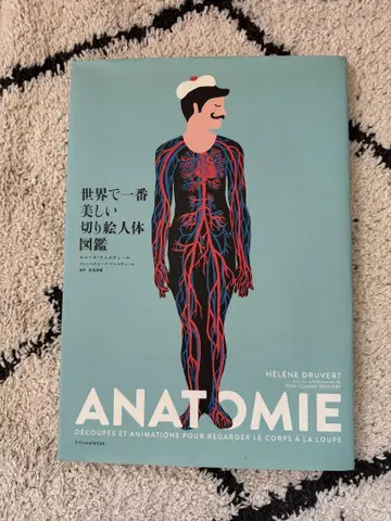 세상에서 가장 아름다운 종이 오리기 인체 도감
