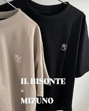 IL BISONTE 블랙 T셔츠 WM