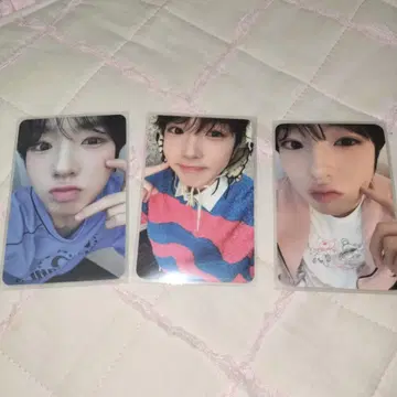 NCT WISH 사쿠야 트레이딩 카드