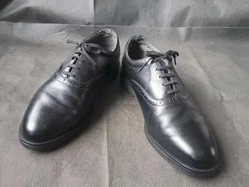 RED WINGS DUNOON 8 1/2 D