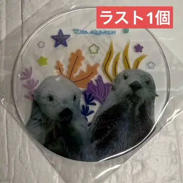 도바 수족관 도바의 날 코스터 메이짱 키라짱