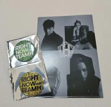 장근석 TEAM H 캔뱃지 클리어 파일