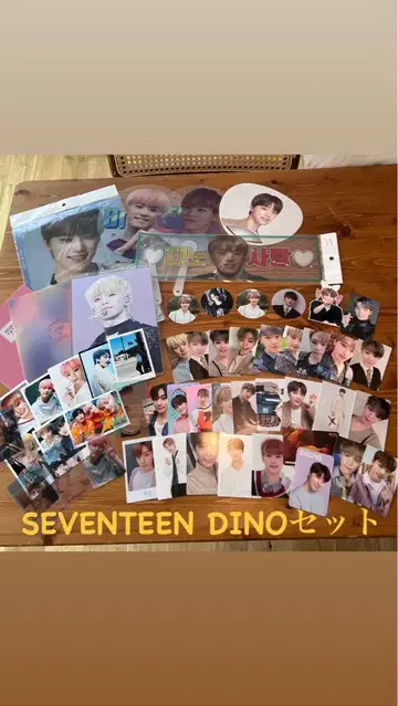 SEVENTEEN DINO 세트 백 포함