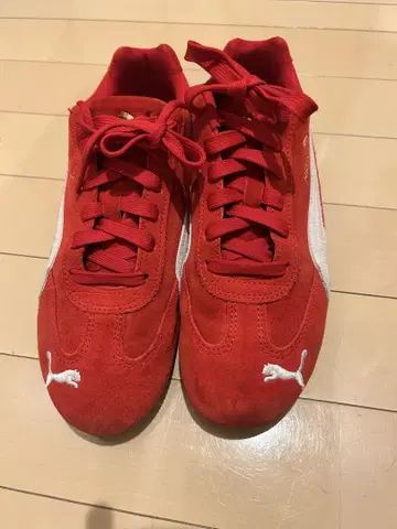 Puma 스피도캣 24.5cm