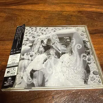 비요크 베스페타인