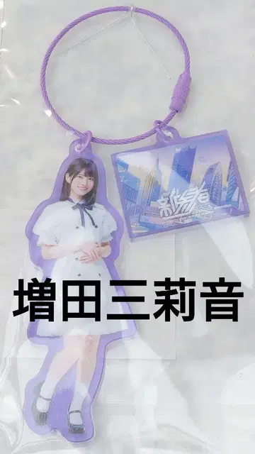 신참자 아크릴 참 마스다 미리오