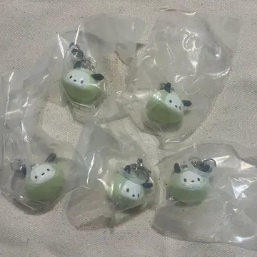 가챠가챠 산리오 메지루시 액세서리  포차코 5개