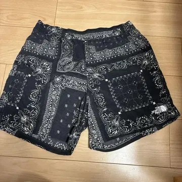 THE NORTH FACE 반다나 패턴 숏팬츠
