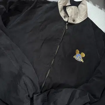Disney vintage gip up jacket