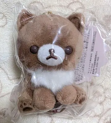 리락쿠마 스토어 한정판 봉제 인형 코코아 캣