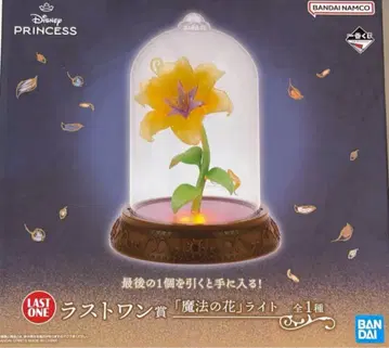 디즈니 제일복권 2025 라스트 원상 [ 마법의 꽃 ] 라이트