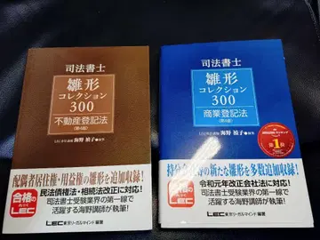 [ 미사용품 ] 히나카타 컬렉션 300 사법서사