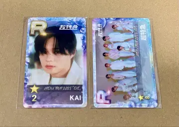 초특급 카이 셰스에비 리얼 카드
