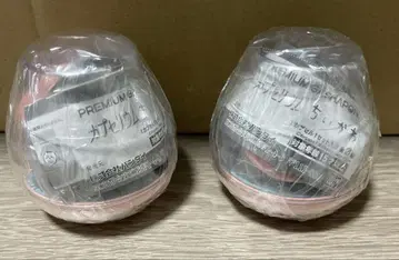 캡슐리움 치이카와 (먼작귀) 채집 x 2