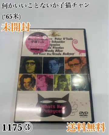 무슨 좋은 일 없을까 새끼 고양이 짱 ('65미)