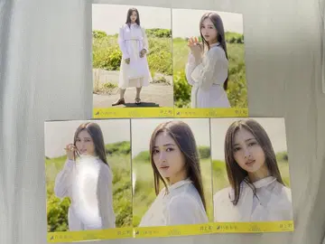 노기자카46 이노우에 와카 개별 브로마이드 Same numbers