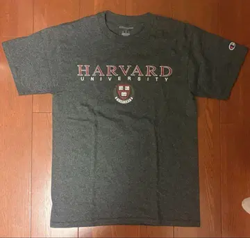 HARVARD UNIVERSITY Champion T셔츠 그레이