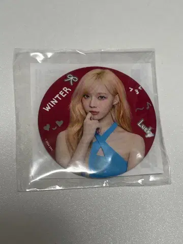 aespa 윈터 랜덤 토이 캔 배지