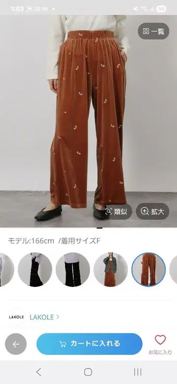 자수 벨로아 팬츠 프리 사이즈 브라운