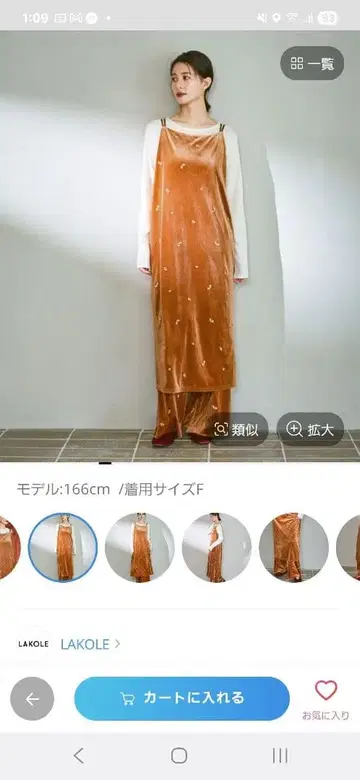 자수 벨벳 원피스