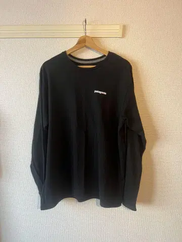patagonia 롱 T