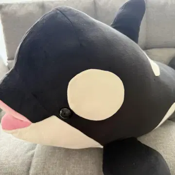 범고래 봉제 인형