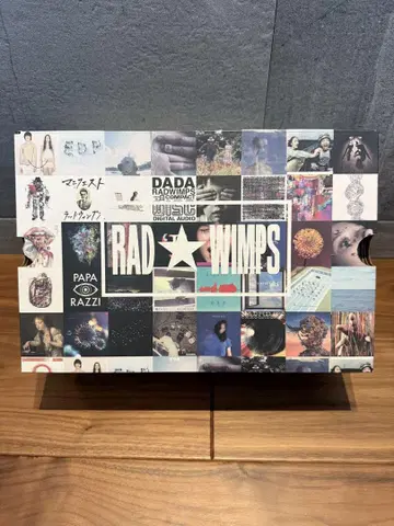 RAD WIMPS CONVERSE ALL STAR 29.0cm