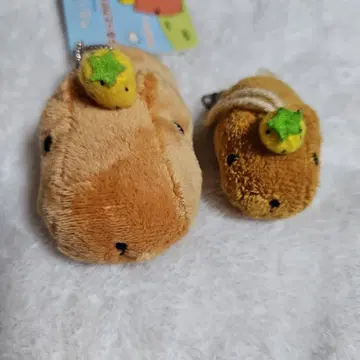 카피바라 씨 덜덜 카피바라 씨 S 카피바라 씨 2개 세트