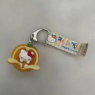 지역 한정 키티 여름 감귤 감귤 키링