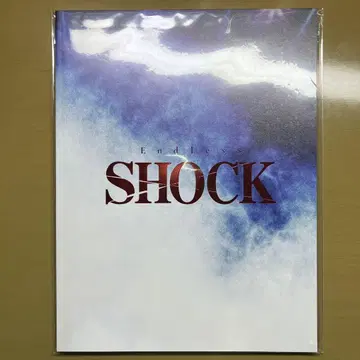 Endless SHOCK 팜플렛 2024