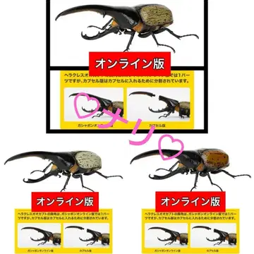 온라인판 3종 세트 헤라클레스 생물대도감 투구벌레 07 곤충 생물