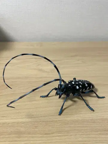 고마다라카미키리 생물대도감 어드밴스 하늘소 곤충 생물 가챠