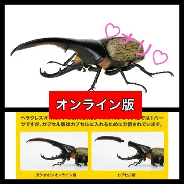 온라인판 헤라클레스 헤라클레스 개 (황갈색) 생물대도감 투구벌레 07