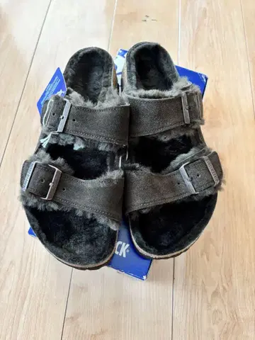 빌켄 애리조나 시어링 모카 42 보스턴 취리히 27 퍼