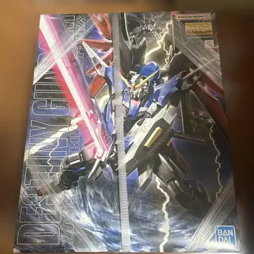 1/100 MG ZGMF-X42S 데스티니 건담 [기동전사 건담