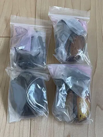 생물대도감 어드밴스 마르스 코끼리장수풍뎅이 헤라클레스 장수풍뎅이