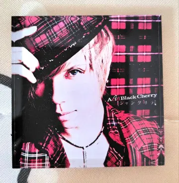 AcidBlackCherry 아크릴 마그넷 샹그릴라