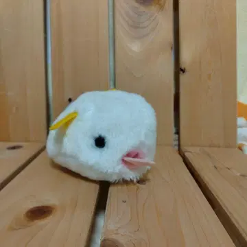 [ 미사용 ] 보름달 공방 하이교 봉제 인형